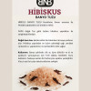 HİBİSKUS BANYO TUZU